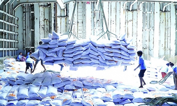 Xây dựng và bảo vệ chuỗi giá trị lúa gạo trước biến động thị trường