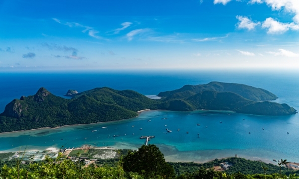 Phát hiện nhiều loài mới tại đảo du lịch lọt top 10 hòn đảo đẹp nhất hành tinh của Việt Nam