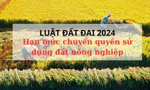 Luật Đất đai 2024 đi vào đời sống, hạn mức nhận chuyển quyền sử dụng đất nông nghiệp có thay đổi