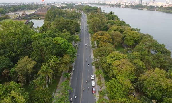 Nơi đầu tiên ở Việt Nam được công nhận 'Thành phố xanh quốc gia': Diện tích chỉ bằng 1/12 Hà Nội nhưng lượng cây xanh gấp gần 4 lần
