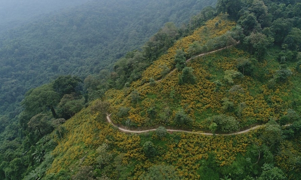 Con đường đi tới khu rừng được mệnh danh ‘điểm du lịch trốn khói bụi gần Hà Nội’ chuẩn bị được rót 364 tỷ 'lên đời'