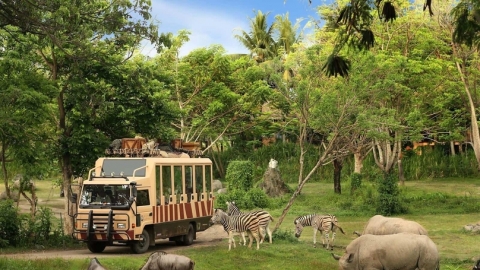 Safari Phú Quốc - Mô hình bán sở thú hoang dã đầu tiên tại Việt Nam