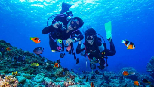 Tất tần tật kinh nghiệm du lịch Bãi Dài Nha Trang