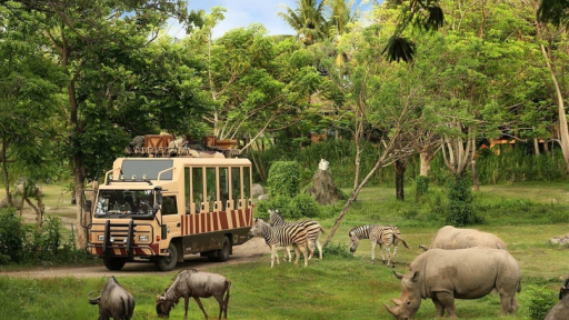 Safari Phú Quốc - Mô hình bán sở thú hoang dã đầu tiên tại Việt Nam