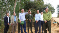 Sơn La đảm bảo công tác quản lý bảo vệ rừng và PCCCR 