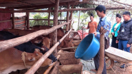  Nông dân vươn lên từ vùng đất khó, góp sức xây dựng bản làng