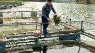 Các loài vật này chỉ sống dưới nước, có con gặm cỏ như thỏ, nuôi thành công, dân một thị trấn ở Lạng Sơn bắt lên bán là hết sạch