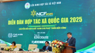 Có hợp tác xã ở Hậu Giang đã xuất khẩu thành công cá thát lát sang Mỹ