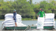 Agribank đẩy mạnh tín dụng ưu đãi lĩnh vực nông, lâm, thủy sản