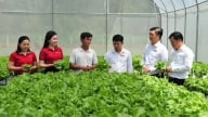 Agribank đầu tư phát triển nông nghiệp sạch, nông nghiệp công nghệ cao