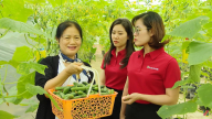 Dòng vốn ưu đãi 50.000 tỷ đồng từ Agribank: Tiếp sức sản xuất, đồng hành cùng triệu hộ kinh doanh