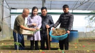 Sâm Ngọc Linh Sơn La - Khát vọng vươn ra biển lớn