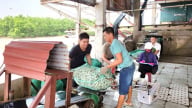 Ngay bây giờ, Ninh Bình nuôi cả tôm càng xanh, chạch sụn, trai lấy ngọc...đa dạng hóa 'giỏ' con đặc sản