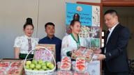 Sơn La 'gỡ khó' chinh phục mục tiêu xuất khẩu nông sản