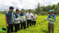 Trước khi sáp nhập với Quảng Bình, tỉnh Quảng Trị là nơi dẫn đầu cả nước về trồng rừng gỗ lớn, dân thu hoạch toàn cây to, bán cho doanh nghiệp mà thoát nghèo