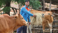 Quỹ Hỗ trợ nông dân Ninh Thuận tiếp vốn cho các dự án giúp tạo việc làm, liên kết sản xuất, tăng thu nhập