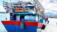 Trung Quốc thông báo lệnh cấm đánh bắt cá có thời hạn, Bộ Nông nghiệp và Môi trường đề nghị động viên ngư dân yên tâm bám biển