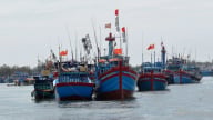 Trung Quốc thông báo cấm đánh bắt cá có thời hạn, Hội Thủy sản Việt Nam kiến nghị có giải pháp bảo vệ ngư dân bám biển