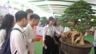 Ngành hàng trị giá 45.000 tỷ đồng, xuất khẩu 100 triệu USD đang 'khát' nguồn nhân lực chất lượng cao