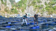 Quảng Ninh: Lấy ý kiến phương án sáp nhập Quỹ Hỗ trợ nông dân 