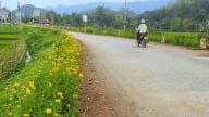 Nỗ lực bảo vệ môi trường nông thôn, một huyện của tỉnh Sơn La đang là điểm đến hút chân du khách