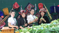Chuẩn bị diễn ra Ngày hội xoài Yên Châu 