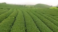 Tận dụng lợi thế, phát triển du lịch, thúc đẩy kinh tế vùng đồng bào dân tộc thiểu số