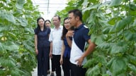 Nông dân Bắc Ninh sản xuất kinh doanh giỏi, xây dựng nông thôn mới, làng quê văn minh, nơi đáng sống 