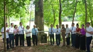 Công nhận 5 cây di sản Việt Nam, có tuổi đời hàng trăm năm ở Yên Châu