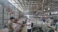 Vì sao hàng loạt tiểu thương tại Sơn La tạm ngừng kinh doanh?