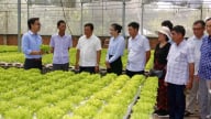 Kiện toàn tổ chức và hoạt động của Quỹ Hỗ trợ nông dân Trung ương: 2.000 tỷ đồng hỗ trợ xây dựng mô hình, tạo nguồn lực đoàn kết, tập hợp nông dân vào tổ chức Hội