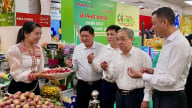 'Tiêu dùng xanh' cùng lễ hội Mận hậu Sơn La tại TP. Hồ Chí Minh