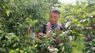 Nông nghiệp thích ứng biến đổi khí hậu - Chìa khóa nâng tầm kinh tế vùng đồng bào dân tộc thiểu số