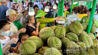Khách kéo tới lễ hội trái cây ở Sài Gòn, bán 100 tấn sầu riêng, măng cụt… chỉ trong vài ngày