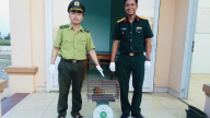 Con động vật hoang dã hiền như cục đất đi lạc vào tận doanh trại, một sĩ quan quân đội ở Huế đem giao nộp kiểm lâm