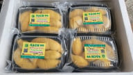Sầu riêng tách múi Cần Thơ 'đi' máy bay ra miền Bắc, bán vào siêu thị với giá 400.000 đồng/kg