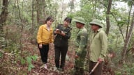 Điện Biên: Hàng ngàn chủ rừng được hỗ trợ tiếp cận với dịch vụ ngân hàng, hướng tới mục tiêu chi trả tiền dịch vụ môi trường rừng minh bạch và hiệu quả