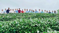 Trung tâm Khuyến nông Hải Dương thực hiện nhiệm vụ đào tạo huấn luyện khuyến nông năm 2025