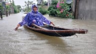 Bộ Nông nghiệp và Môi trường hỗ trợ khẩn cấp thành phố Huế 160 tấn lúa giống