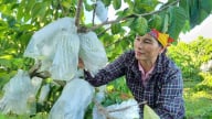 Hội Nông dân phát huy vai trò 'đầu tàu' trong xây dựng nông thôn mới