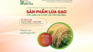 Agribank rót vốn ưu đãi cho 1 triệu ha lúa ĐBSCL