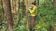 Chứng chỉ rừng bền vững hướng đi mới nâng tầm giá trị ngành lâm nghiệp Lạng Sơn