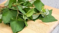 Những bài thuốc từ rau diếp cá