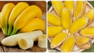 Loại quả được nhiều người yêu thích nhưng không phải ai cũng ăn được
