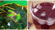 Cách nấu nước lá tía tô uống giải nhiệt ngày hè