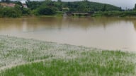 Nhiều diện tích sản xuất nông nghiệp ở Lào Cai bị thiệt hại