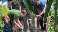 Đi làm ruộng, người đàn ông ở Lào Cai trượt chân ngã xuống suối tử vong