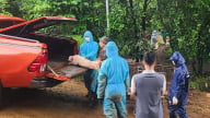 Đã có kết quả xác định nguyên nhân 31 con lợn chết bất thường tại Lâm Đồng