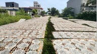  Nghề cổ hơn 1.000 năm tuổi ở Hải Phòng, nông dân nay vẫn làm, 'nhận lương' cao 25-30 triệu/tháng