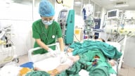 Lội biển bắt ngao, ngư dân nhiễm trùng nặng, cực kỳ nguy kịch